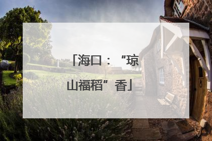 海口：“琼山福稻”香