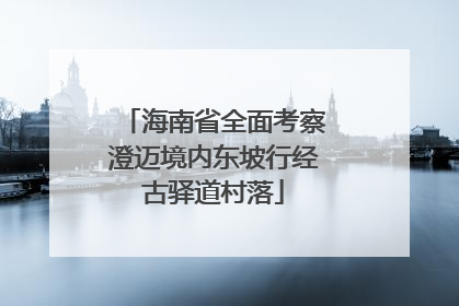 海南省全面考察澄迈境内东坡行经古驿道村落