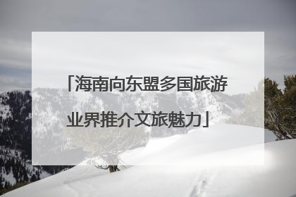 海南向东盟多国旅游业界推介文旅魅力