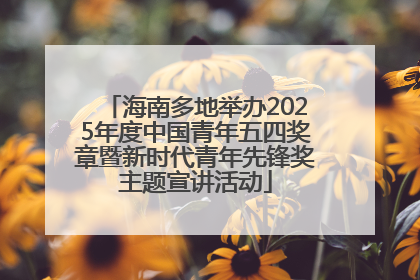 海南多地举办2025年度中国青年五四奖章暨新时代青年先锋奖主题宣讲活动