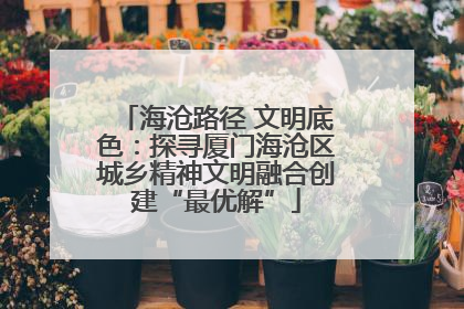 海沧路径 文明底色：探寻厦门海沧区城乡精神文明融合创建“最优解”