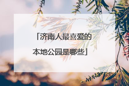 济南人最喜爱的本地公园是哪些