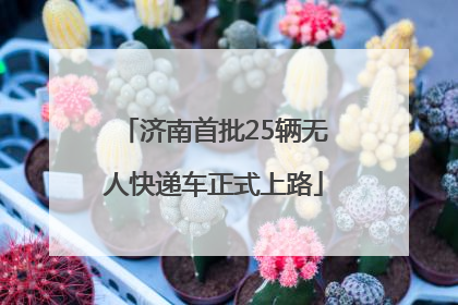 济南首批25辆无人快递车正式上路