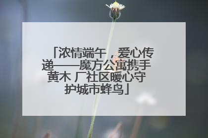 浓情端午，爱心传递——魔方公寓携手黄木 厂社区暖心守护城市蜂鸟