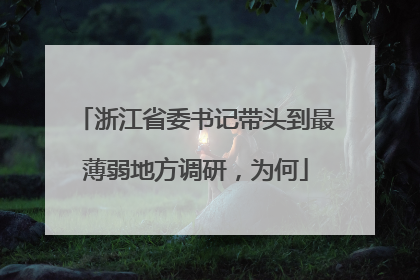 浙江省委书记带头到最薄弱地方调研，为何