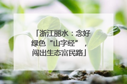 浙江丽水：念好绿色“山字经”，闯出生态富民路