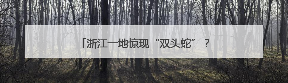 浙江一地惊现“双头蛇”？！村民吓懵：还会倒着爬