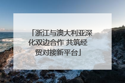 浙江与澳大利亚深化双边合作 共筑经贸对接新平台