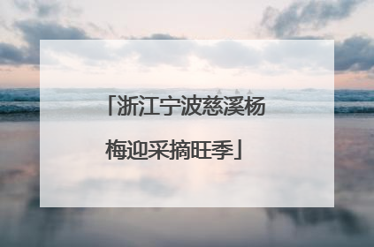 浙江宁波慈溪杨梅迎采摘旺季