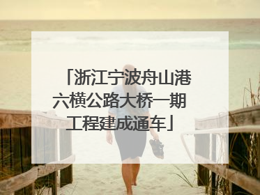 浙江宁波舟山港六横公路大桥一期工程建成通车