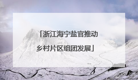 浙江海宁盐官推动乡村片区组团发展