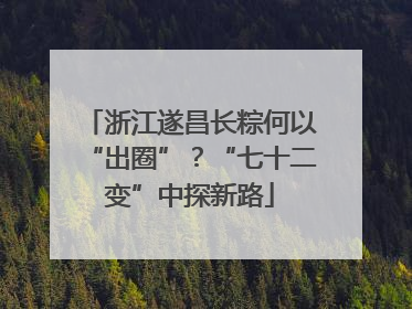 浙江遂昌长粽何以“出圈”？“七十二变”中探新路