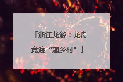 浙江龙游：龙舟竞渡“趣乡村”