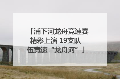 浦下河龙舟竞速赛精彩上演 19支队伍竞速“龙舟河”
