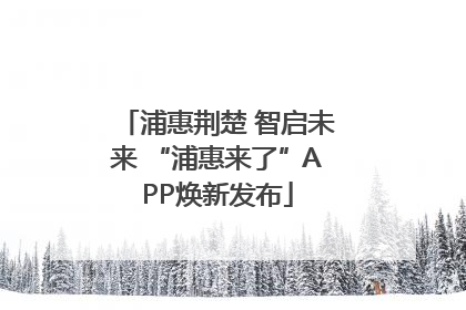浦惠荆楚 智启未来 “浦惠来了”APP焕新发布