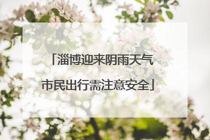 淄博迎来阴雨天气 市民出行需注意安全