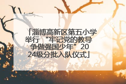 淄博高新区第五小学举行 “牢记党的教导 争做强国少年”2024级分批入队仪式