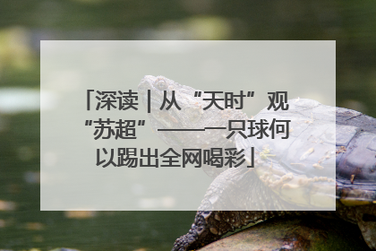 深读｜从“天时”观“苏超”——一只球何以踢出全网喝彩