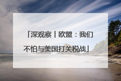 深观察丨欧盟：我们不怕与美国打关税战