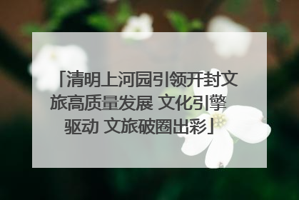 清明上河园引领开封文旅高质量发展 文化引擎驱动 文旅破圈出彩