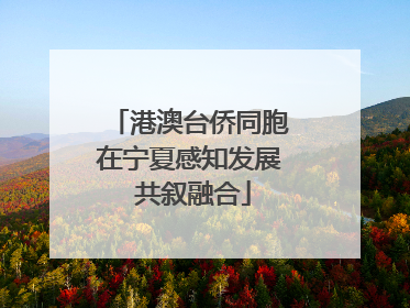 港澳台侨同胞在宁夏感知发展 共叙融合