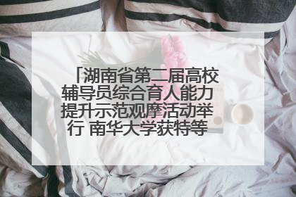 湖南省第二届高校辅导员综合育人能力提升示范观摩活动举行 南华大学获特等奖和一等奖