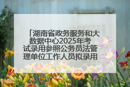 湖南省政务服务和大数据中心2025年考试录用参照公务员法管理单位工作人员拟录用人员名单公示