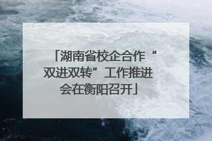 湖南省校企合作“双进双转”工作推进会在衡阳召开