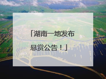 湖南一地发布悬赏公告！