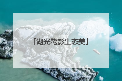 湖光鹭影生态美