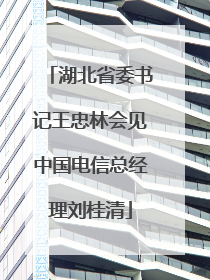 湖北省委书记王忠林会见中国电信总经理刘桂清