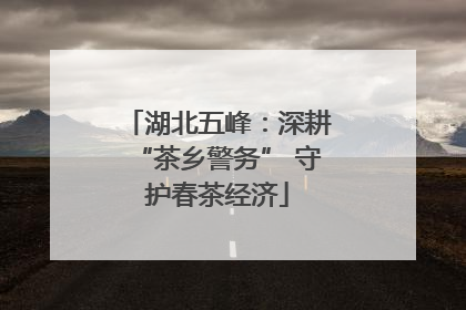 湖北五峰：深耕“茶乡警务” 守护春茶经济
