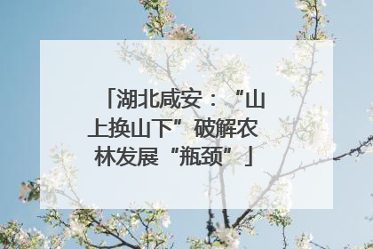 湖北咸安：“山上换山下”破解农林发展“瓶颈”