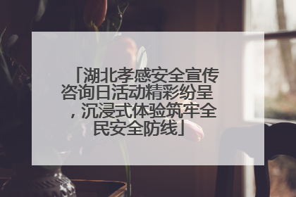 湖北孝感安全宣传咨询日活动精彩纷呈，沉浸式体验筑牢全民安全防线