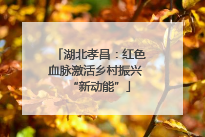 湖北孝昌：红色血脉激活乡村振兴“新动能”