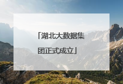 湖北大数据集团正式成立