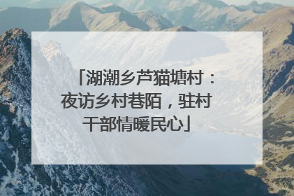 湖潮乡芦猫塘村：夜访乡村巷陌，驻村干部情暖民心