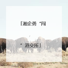 湘企勇“闯”港交所