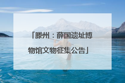 滕州：薛国遗址博物馆文物征集公告