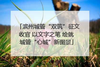 滨州城管“双筑”征文收官 以文字之笔 绘就城管“心城”新图景