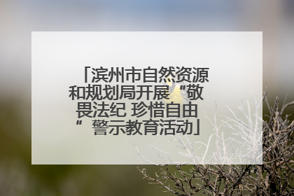 滨州市自然资源和规划局开展“敬畏法纪 珍惜自由”警示教育活动