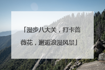 漫步八大关，打卡蔷薇花，邂逅浪漫风景