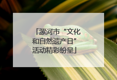 漯河市“文化和自然遗产日”活动精彩纷呈