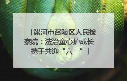 漯河市召陵区人民检察院：法治童心护成长 携手共迎“六一”