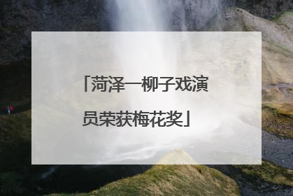 菏泽一柳子戏演员荣获梅花奖