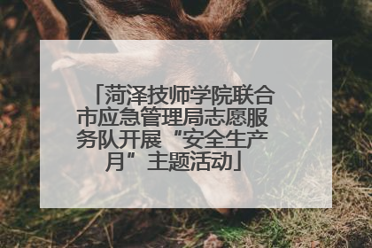 菏泽技师学院联合市应急管理局志愿服务队开展“安全生产月”主题活动