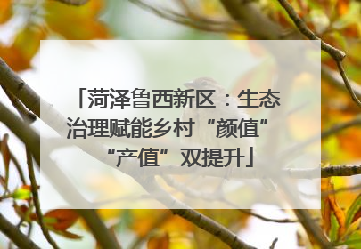 菏泽鲁西新区：生态治理赋能乡村“颜值”“产值”双提升