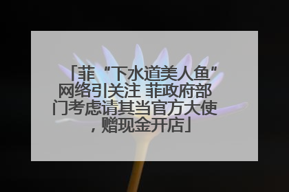 菲“下水道美人鱼”网络引关注 菲政府部门考虑请其当官方大使，赠现金开店