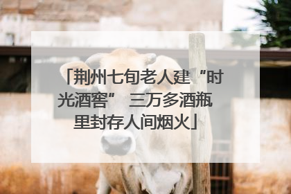 荆州七旬老人建“时光酒窖” 三万多酒瓶里封存人间烟火