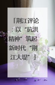 荆江评论：以“抗洪精神”筑起新时代“荆江大堤”